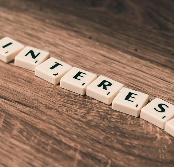 Advanced Website Marketing 18004264149 for SEO Success