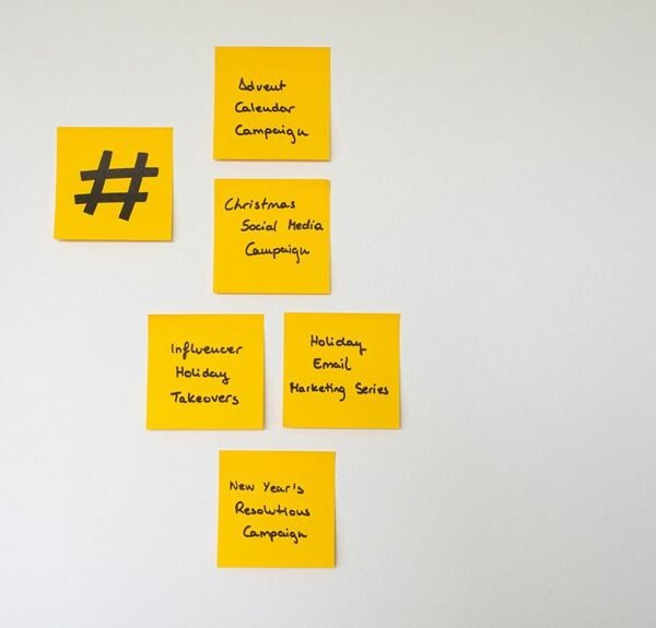 seo success through organic campaigns
